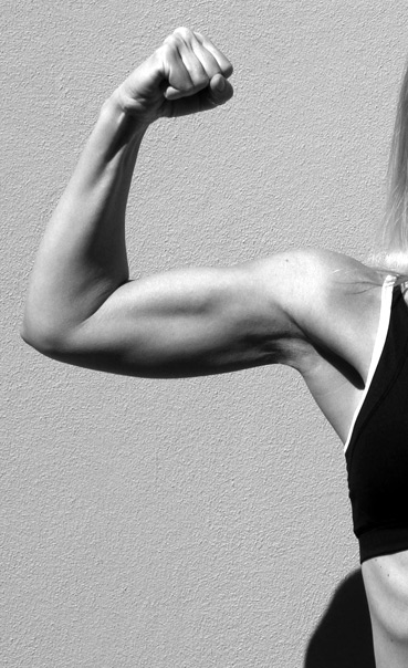 Bicep August 2013