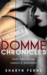 Domme Chronicles Vol 1 small