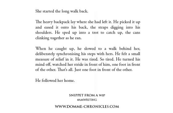 He followed her home #amwriting