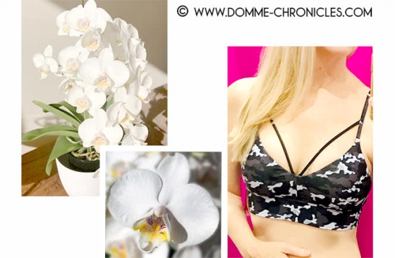 Blooming randomness
