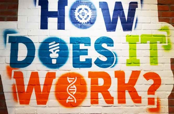How does femdom work?
