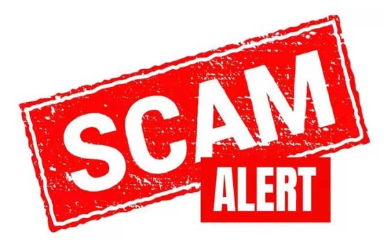 Femdom: Is this a scam?