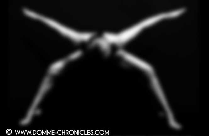 Ferns nude X blurred